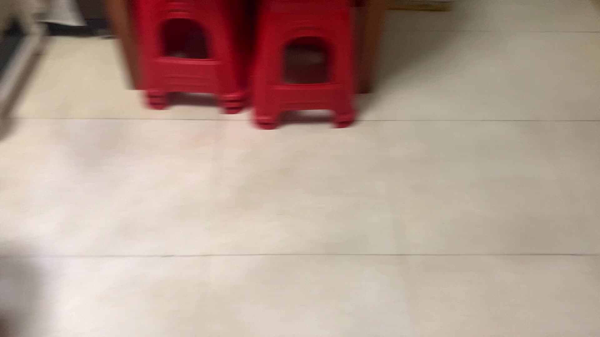 亲子运动