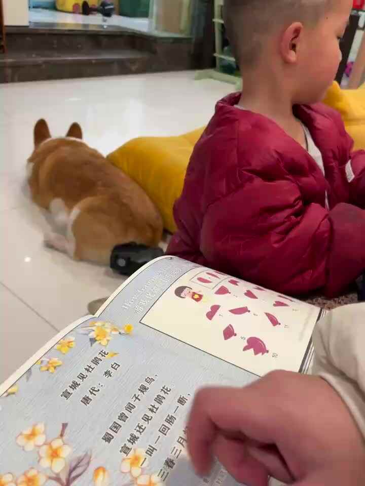 7225.mov古诗朗诵