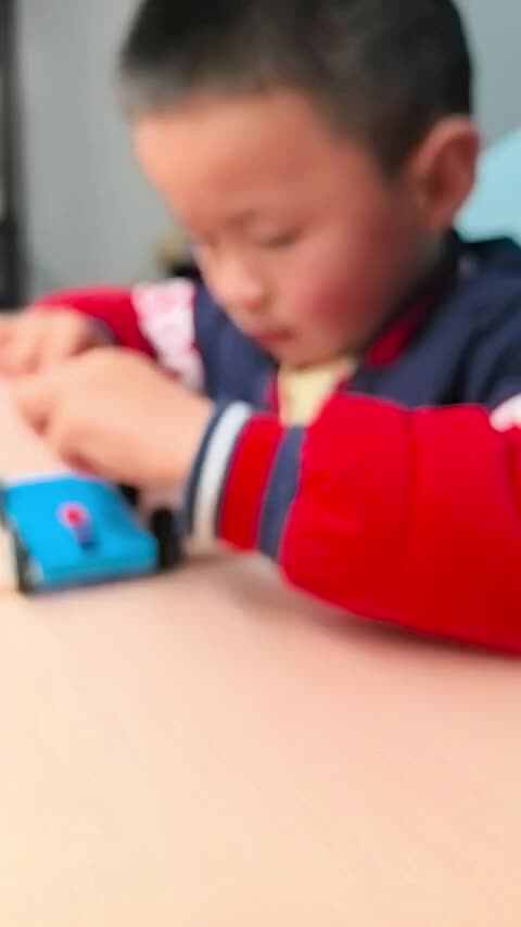 petal_20250319_204613.mp4