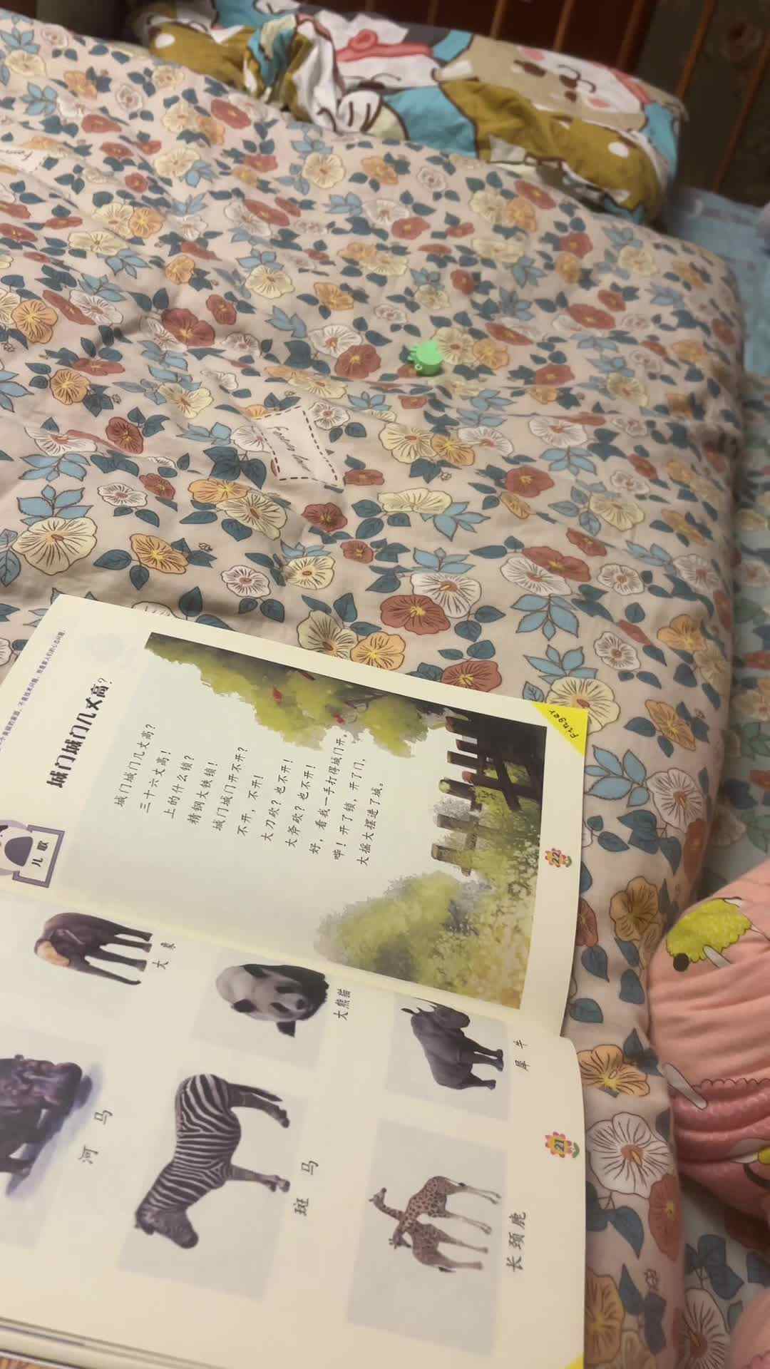 实验小班伊伊.mov