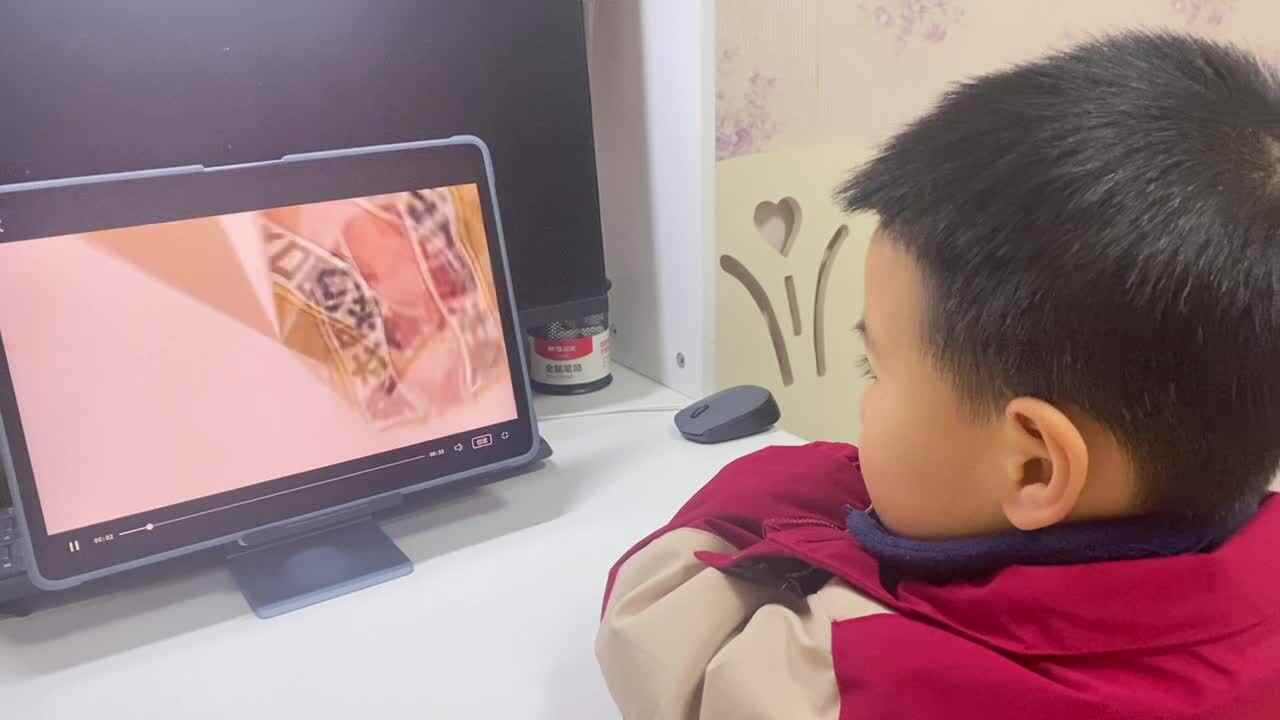 大B班吕子垚观看生活技能视频（如果折叠衣服裤子）20250317