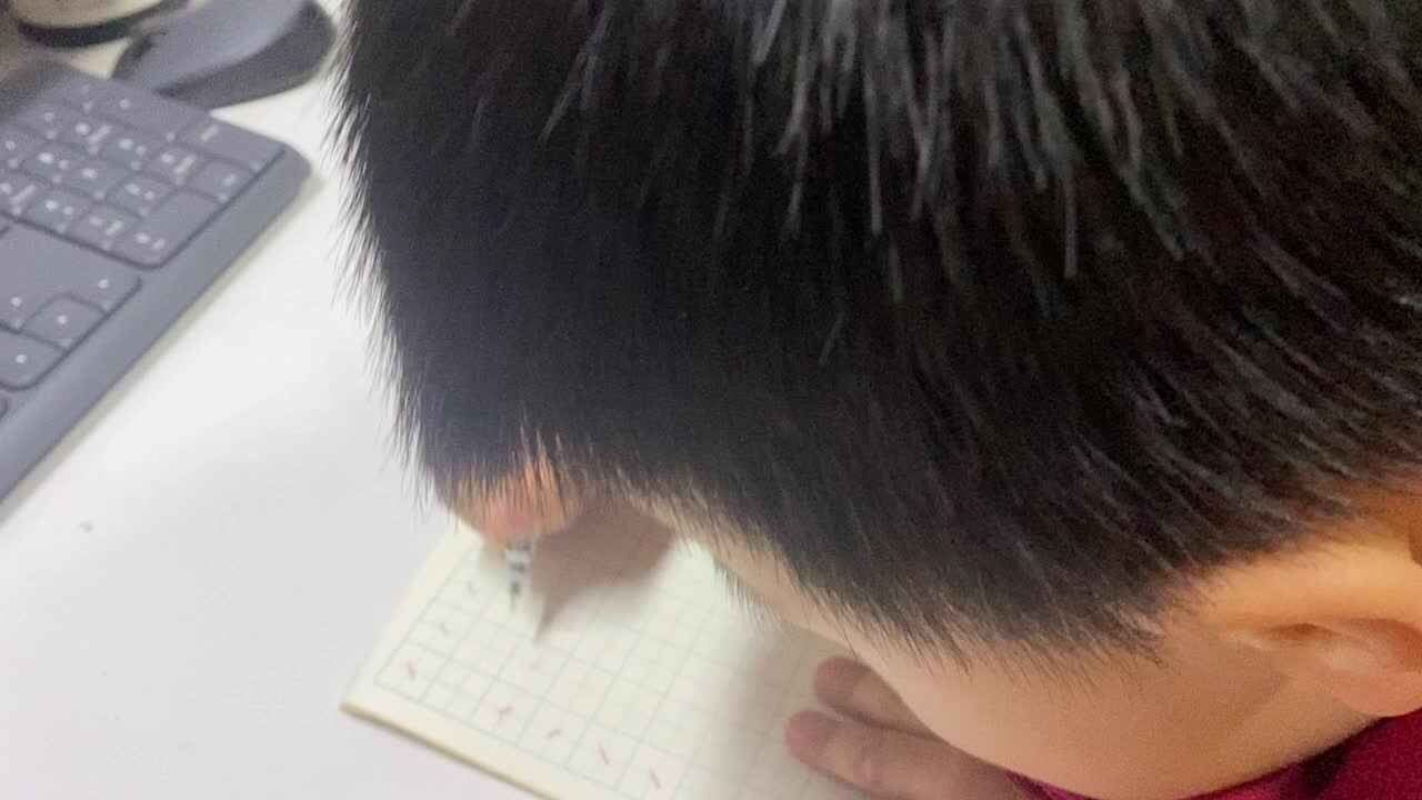 大B班吕子垚书写（点、提）20250324