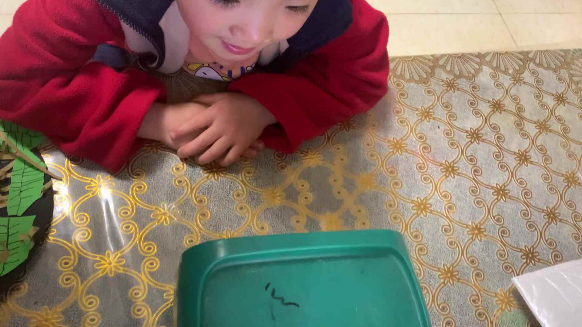 观看视频儿歌