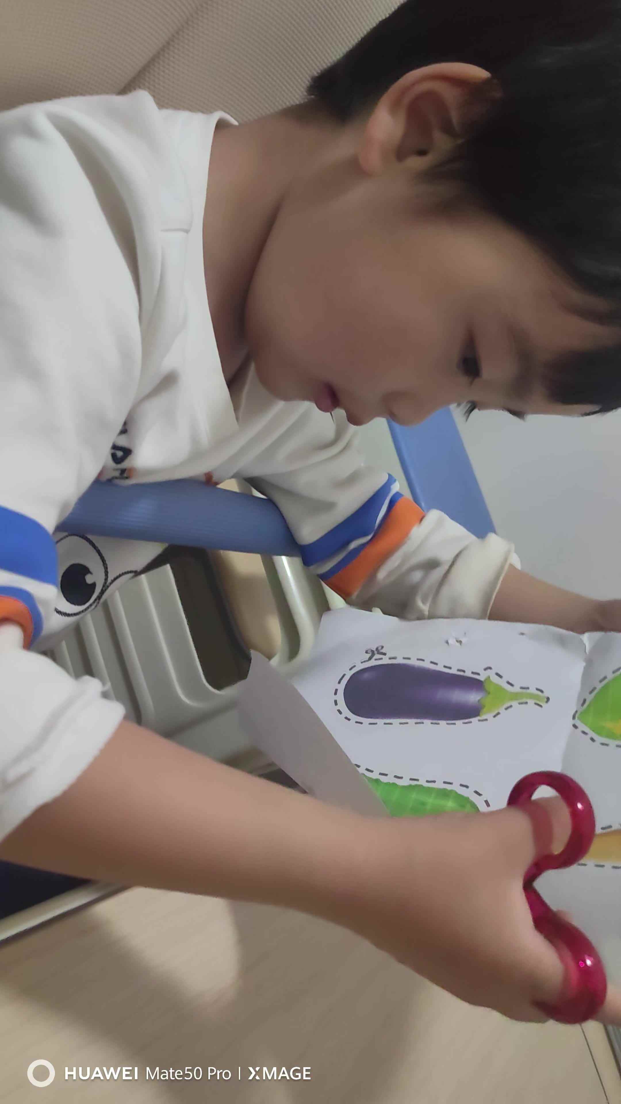 VID_20250415_202607.mp4