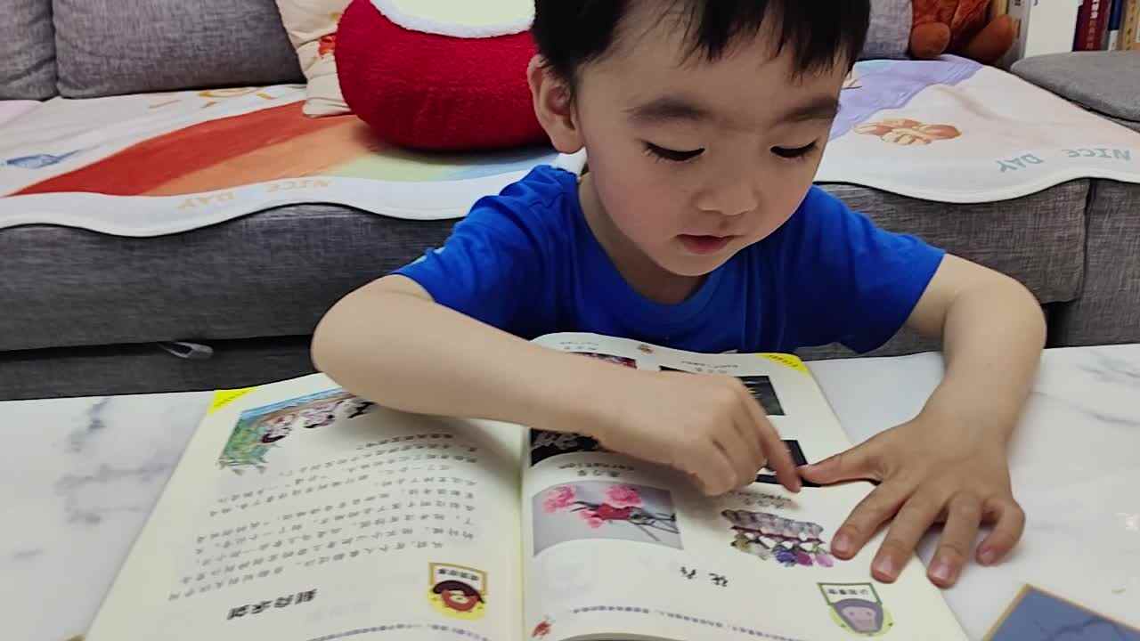 中A班蒋熠_20250418_认识花卉.mp4