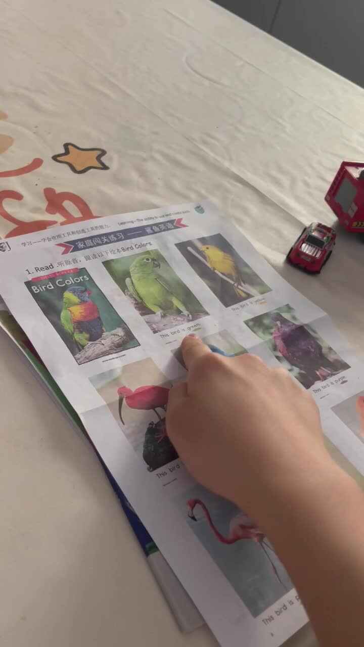 跟读绘本《Bird Color》