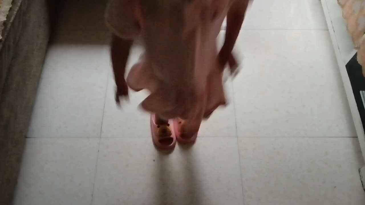 双脚左右跳