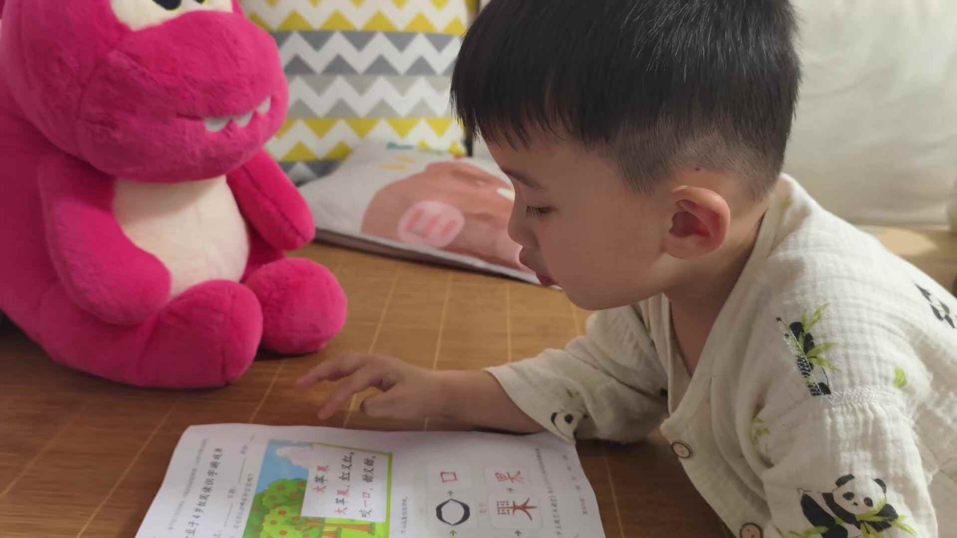 2025.5.14中A班李楷延——识字练习“口”“果”.mp4