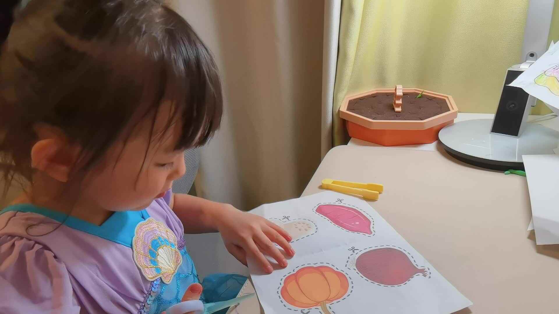 沿线剪蔬菜