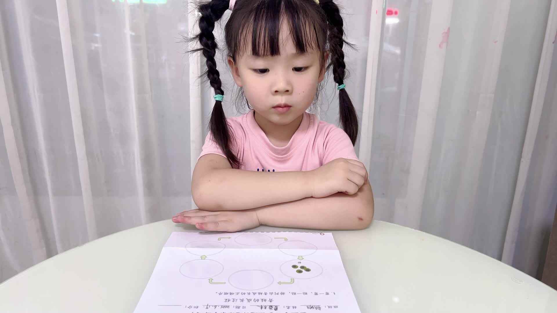 2025年6月19日中A班夏爱林～青蛙成长顺序
