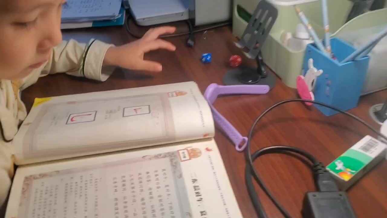 2025.6.2大B班王千与 读语言书【晨对午夏对冬】