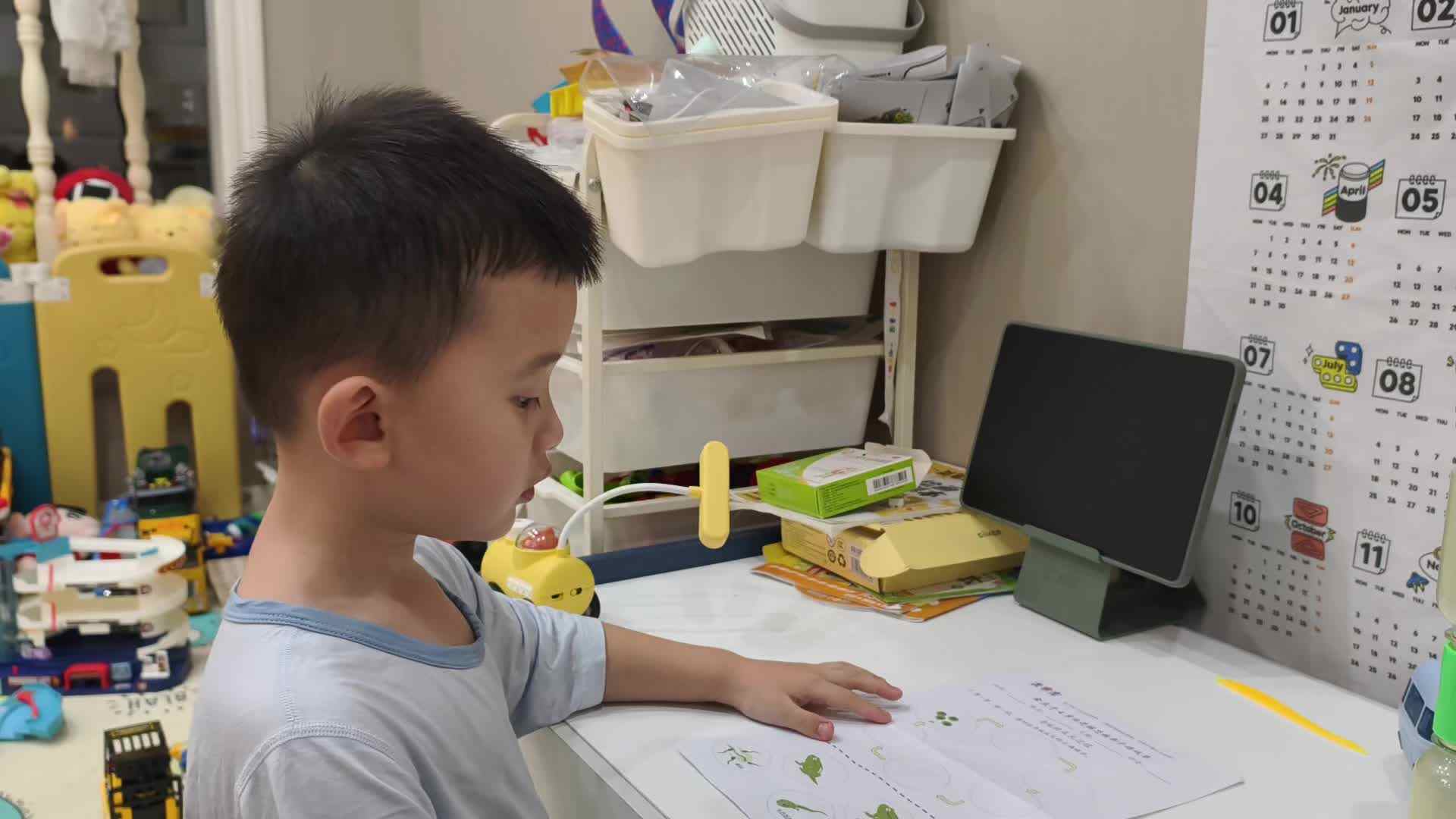 2025.6.19中A班李楷延——青蛙的成长过程.mp4