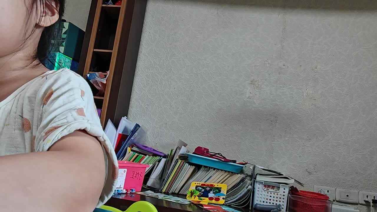 20250705大A于陈昱《生活在北极的动物》.mp4