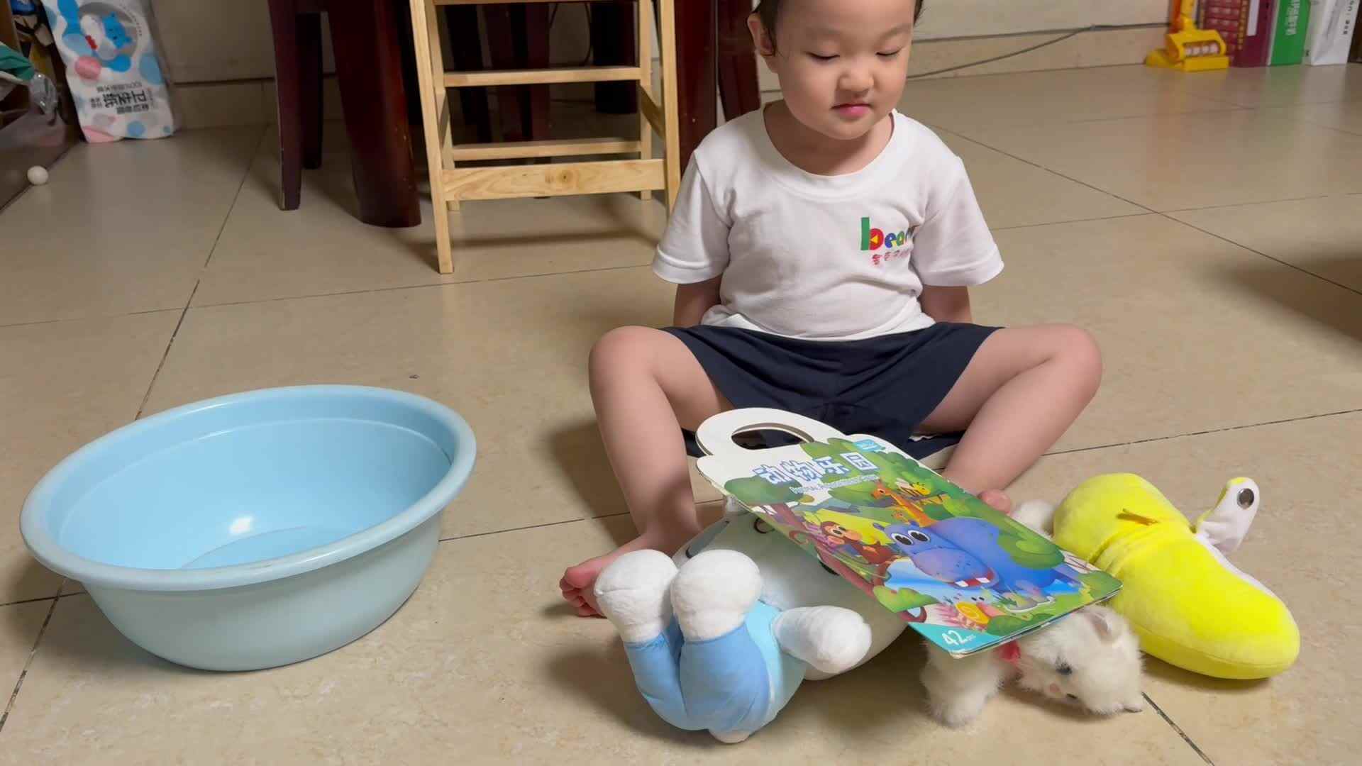 中A班陈品漪 感统训练