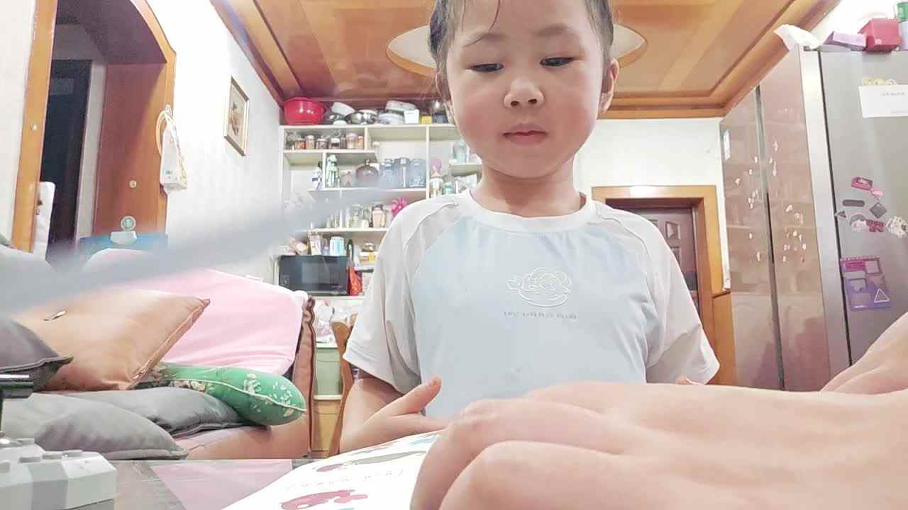 学前A班2025.9.20张艺涵-单韵母ǖ的练习.mp4