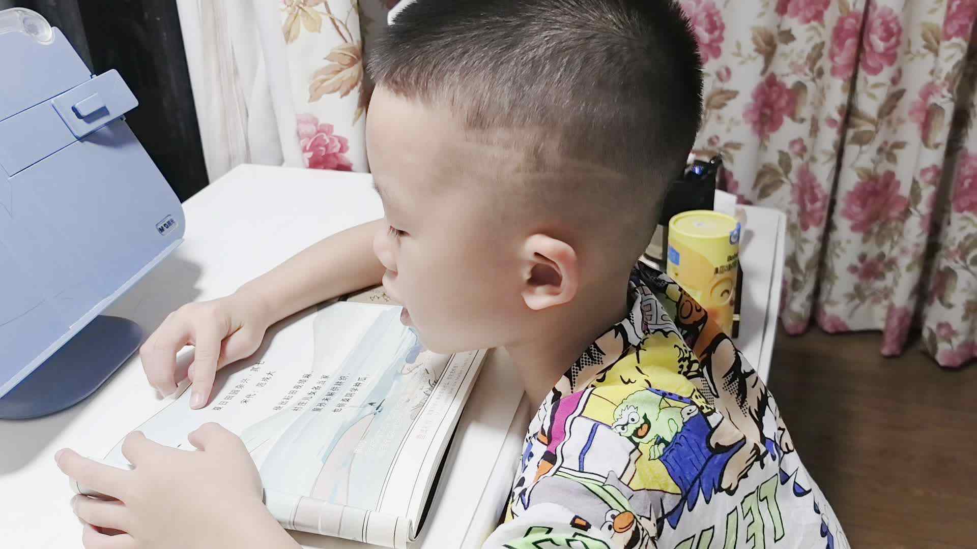 夏日田园杂兴