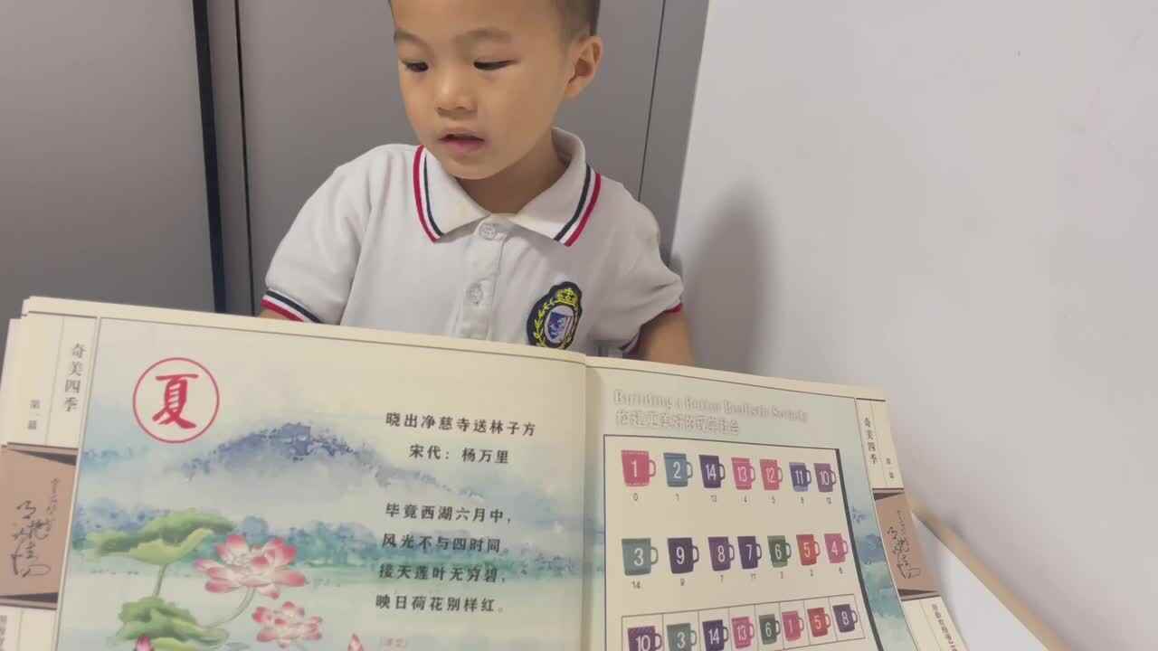背诵古诗《晓出净慈寺送林子方》