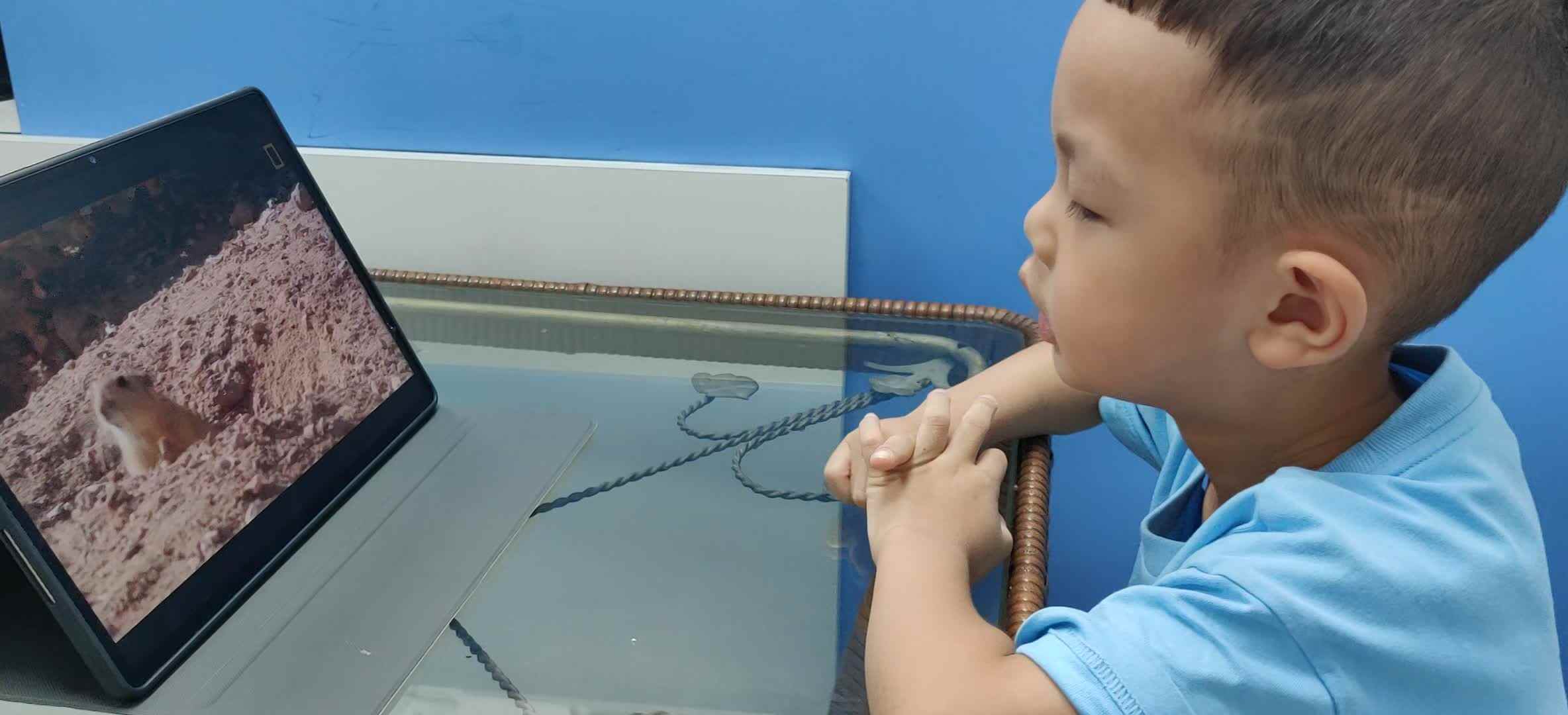 VID_20251008_180452.mp4
