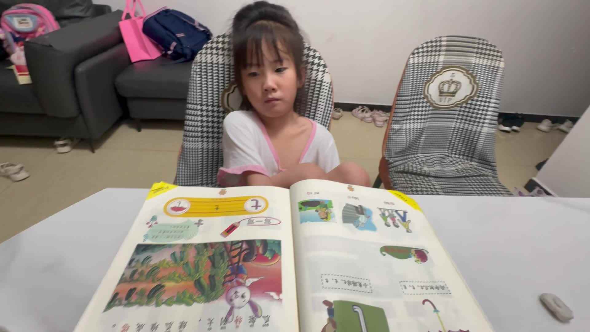 指读拼音书