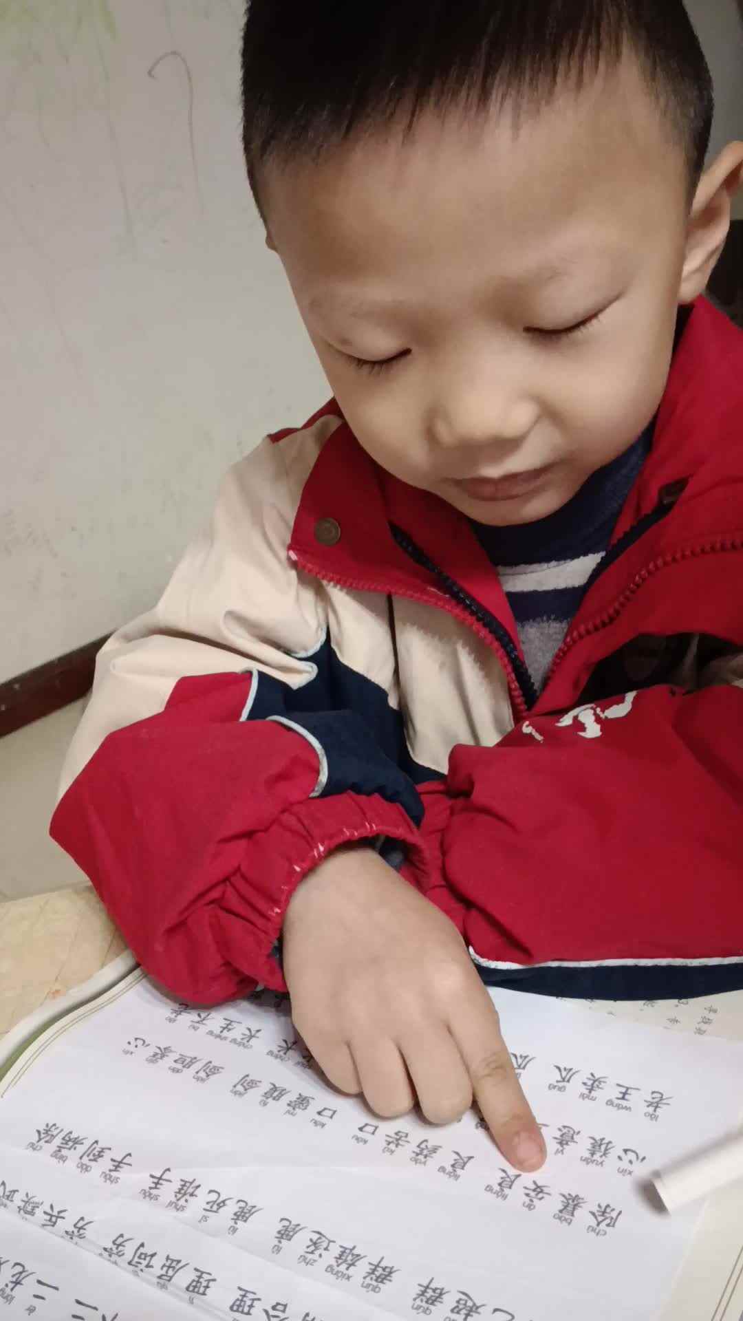 video_20251117_082946.mp4