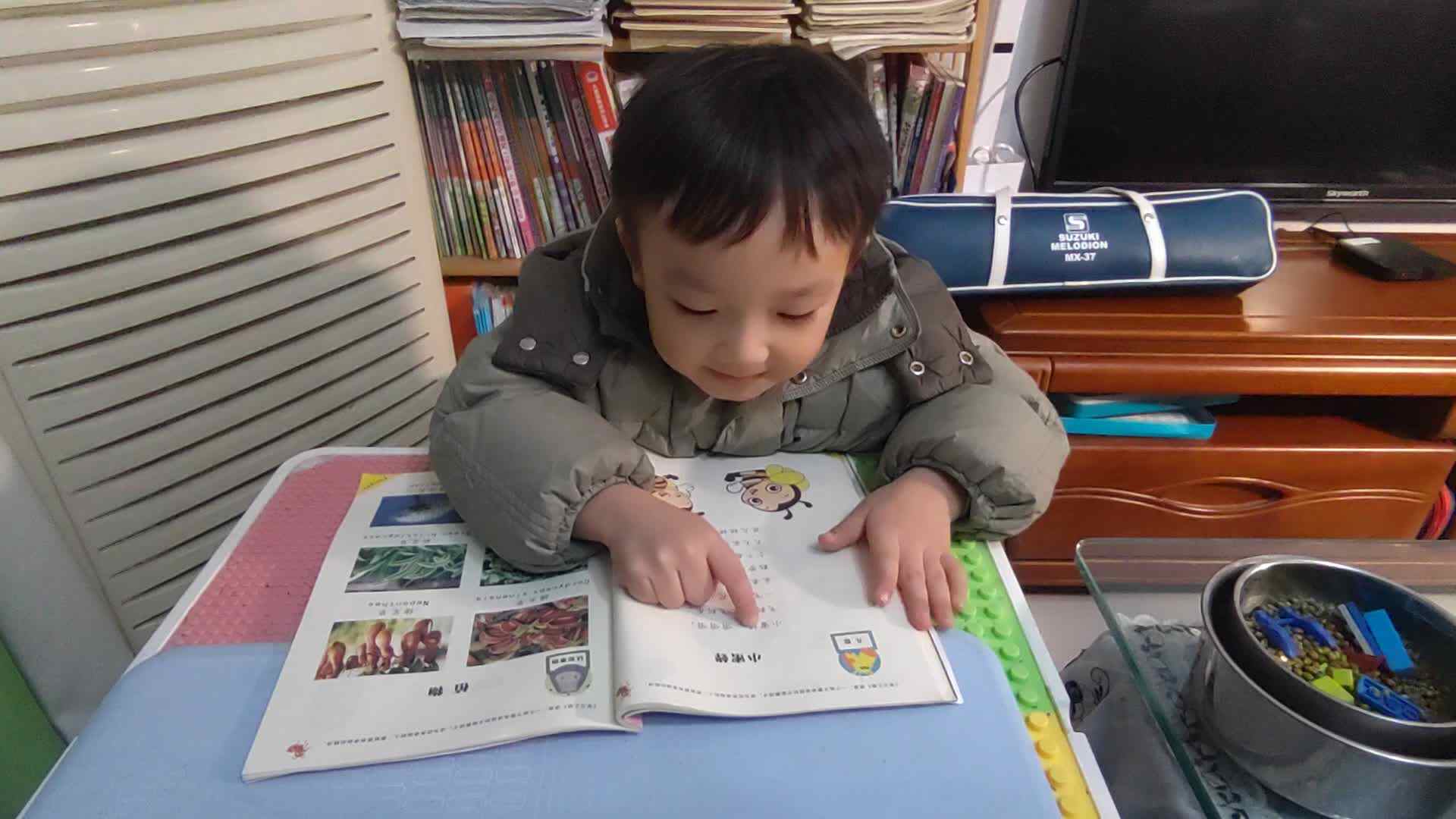 VID_20251118_190552.mp4