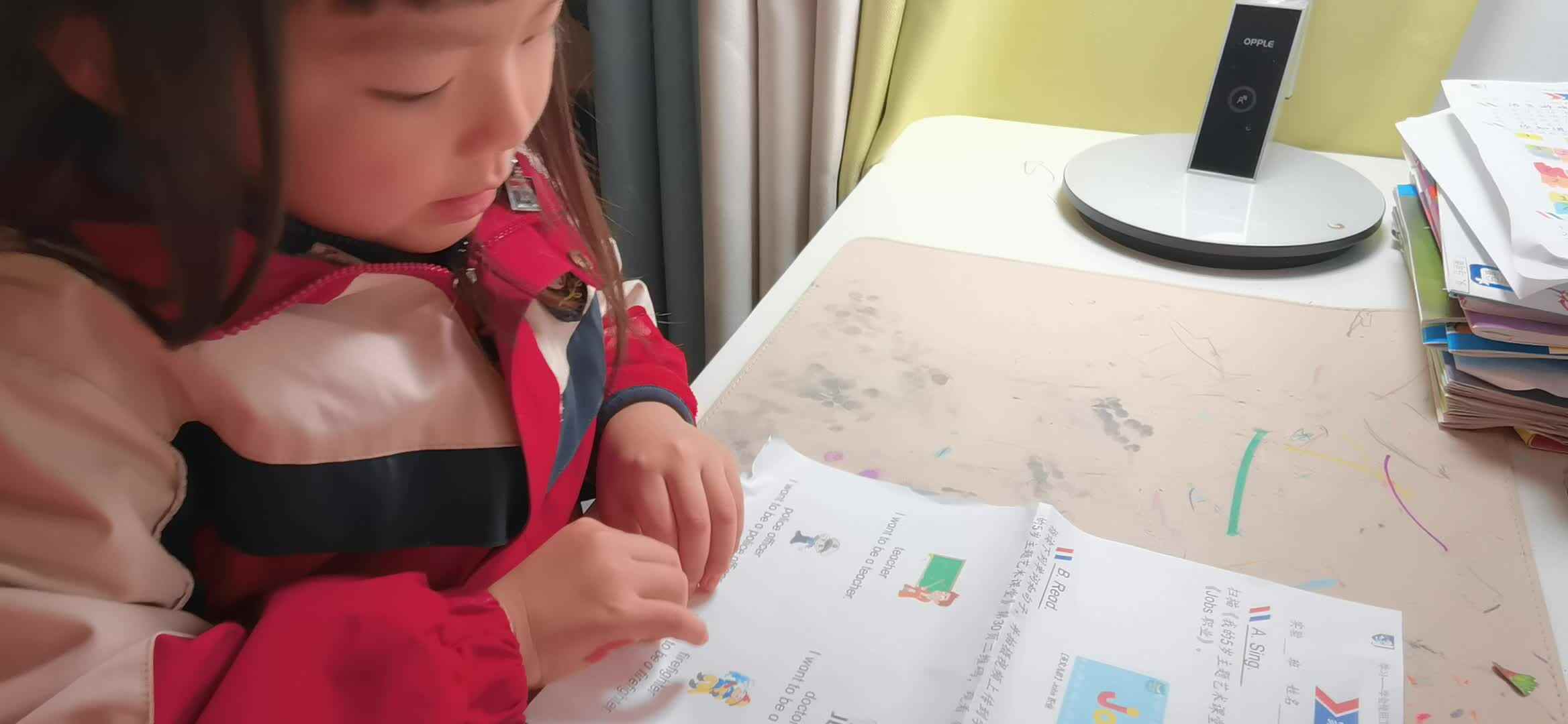 实验大班马司雨复习英语