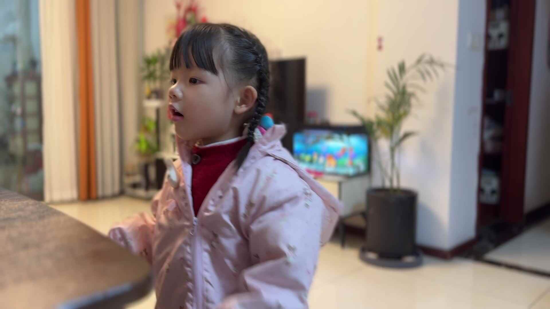 2025.11.27 母鸡萝丝去散步