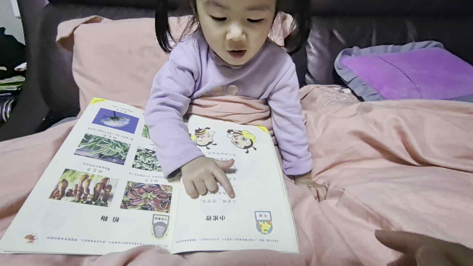 中A班刘谨妍小蜜蜂