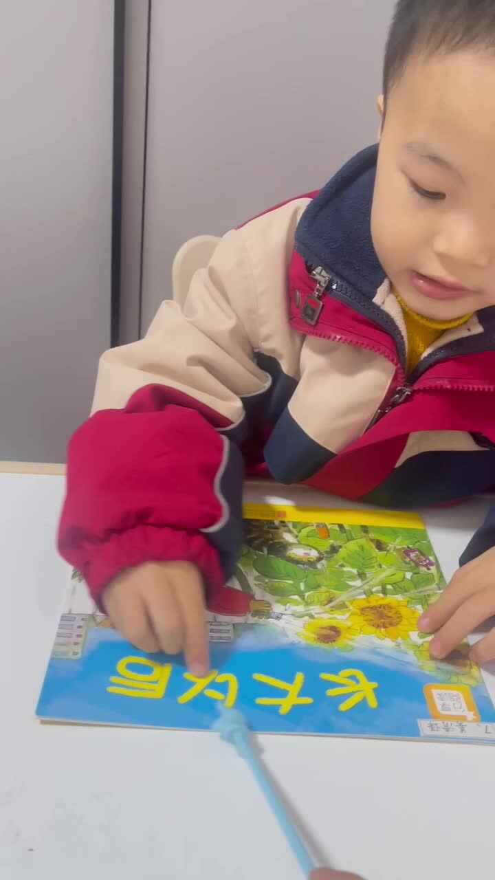 指读绘本《长大以后》