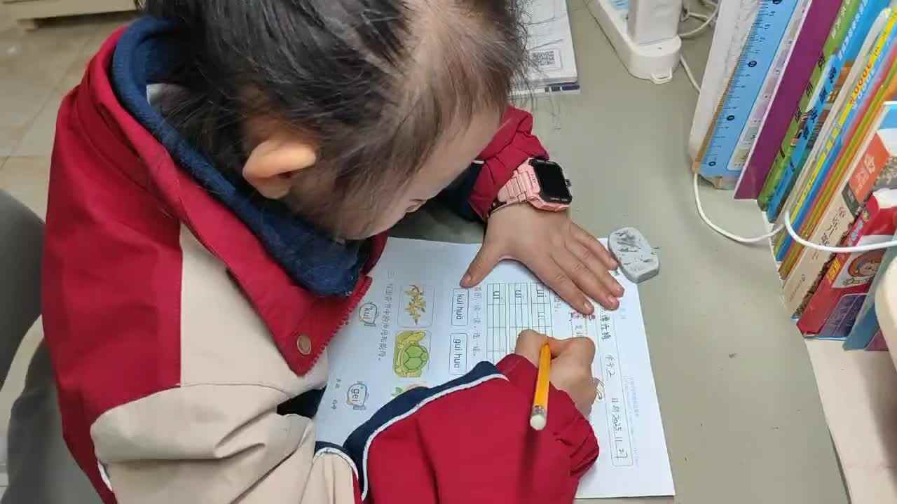 2025年11月27日学前B班谭诗锜完成拼音作业单《复韵母ui》