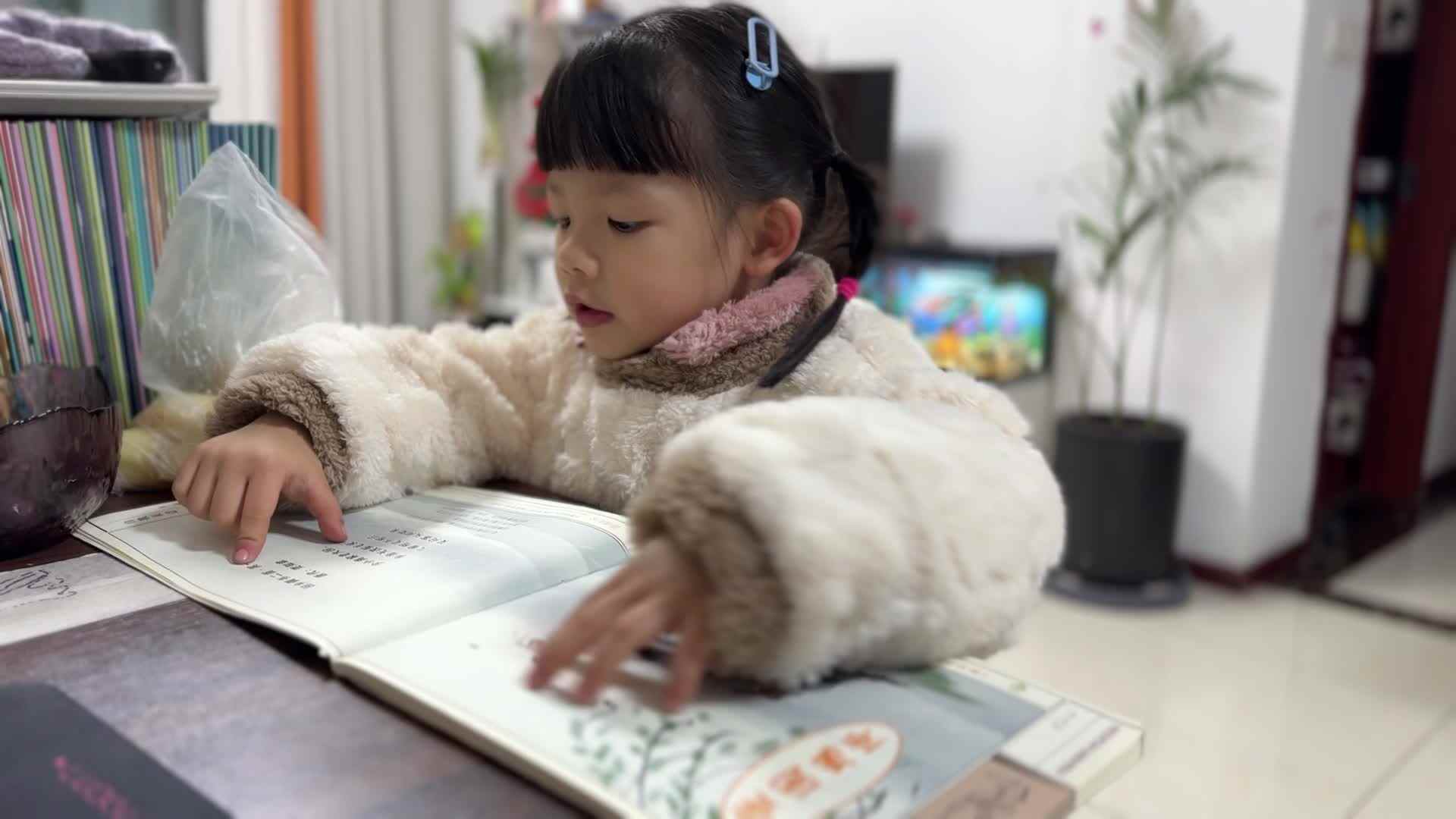 2026.1.5 古诗《回乡偶书》