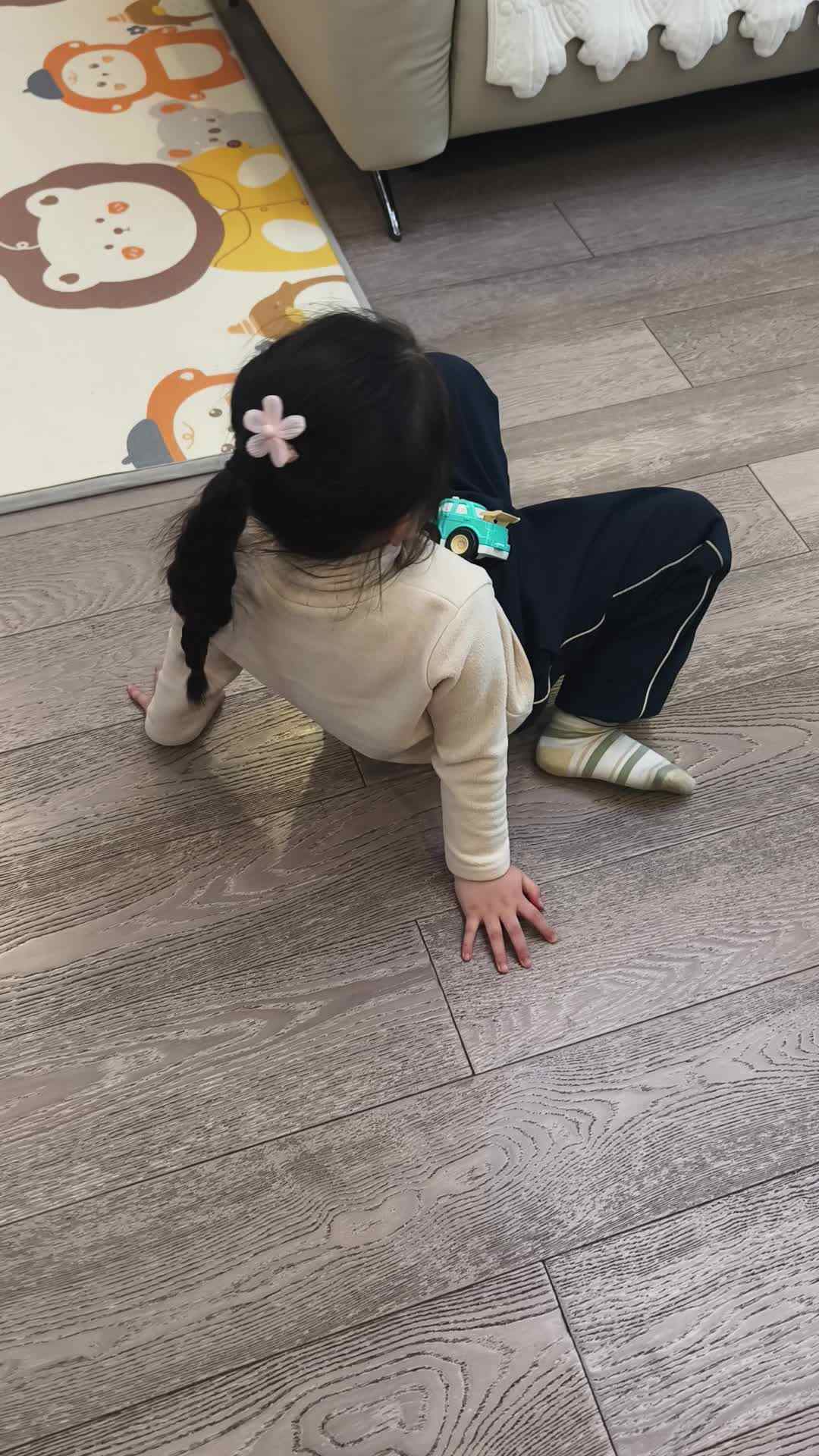 大A班+2026.1.27+陈苏妍+《手脚撑地运物》