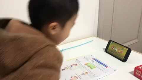 观看视频《Family member s&tree家庭》并跟读下面句子及单词