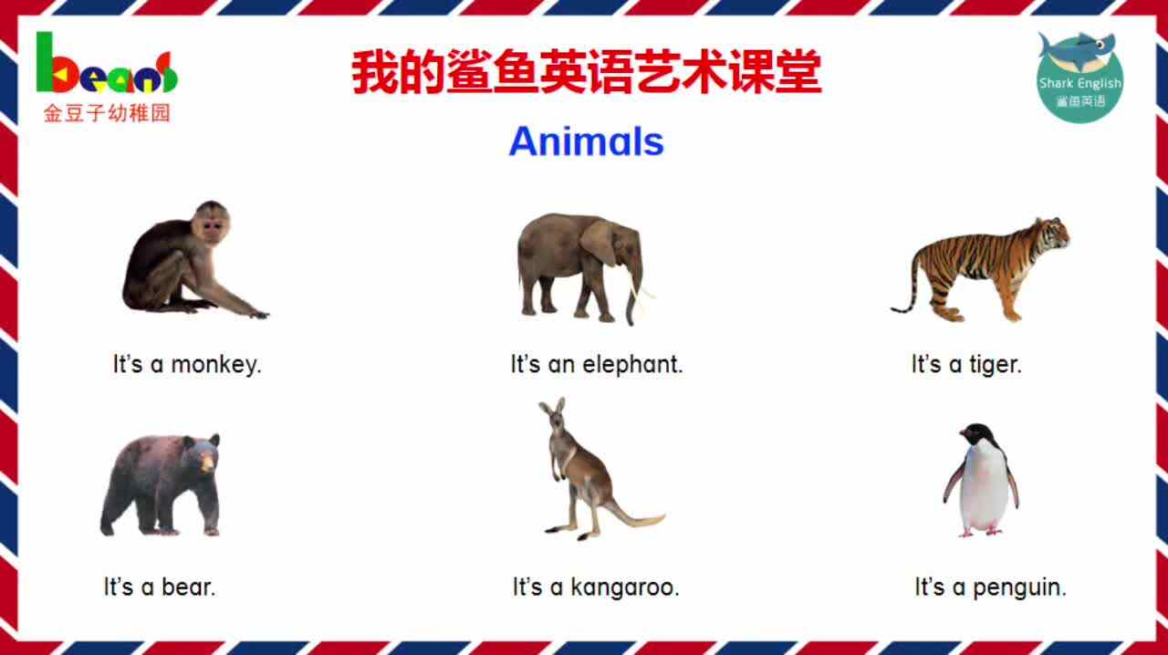 Animals 朗读示范