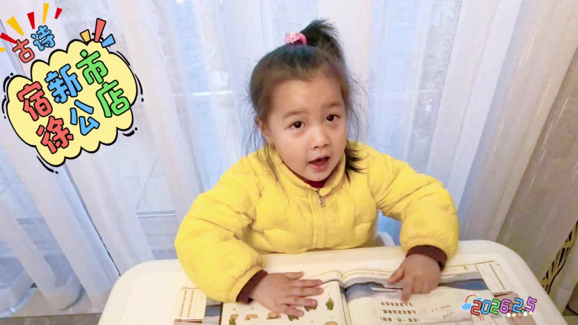 《宿新市徐公店》