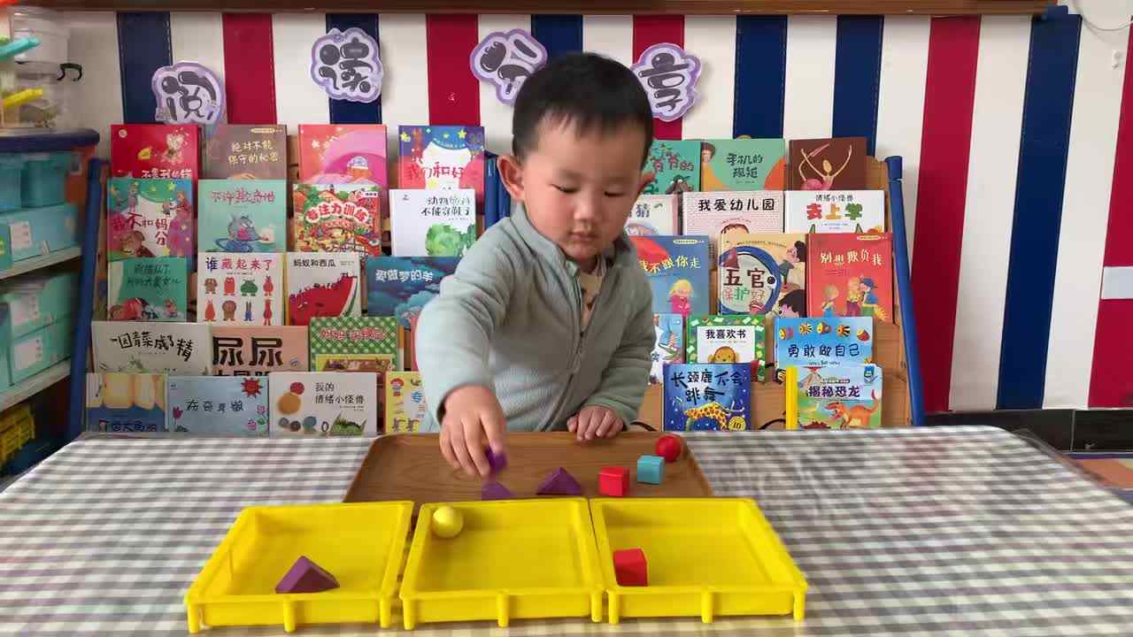 2026年3月27日   张禹洋 《按图形分类》学校教育教学活动.mp4