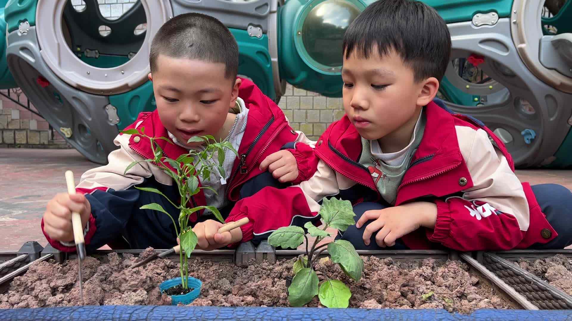 ⁣⁣⁣实验1班-朱乔溪、蒋开心植树节活动