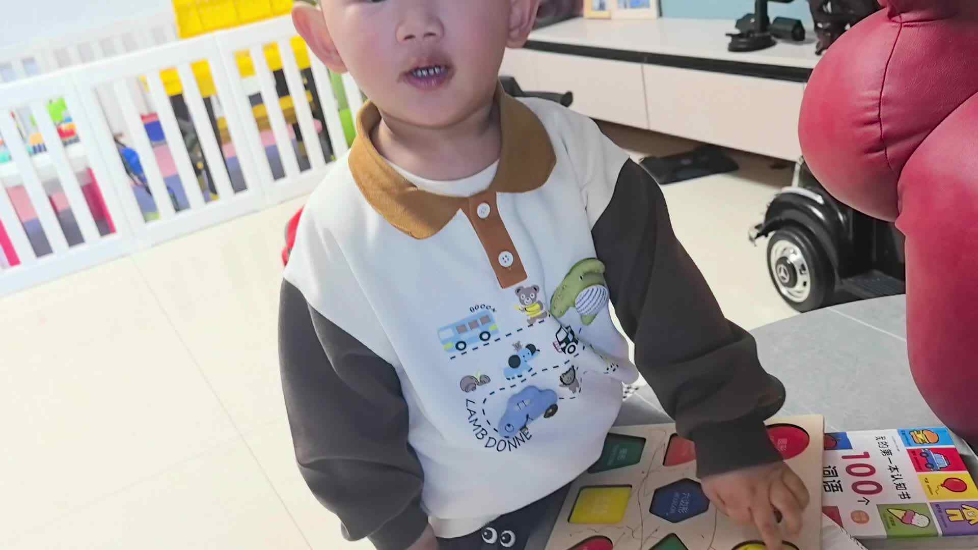 2026年03月10日张禹洋《认识颜色》.mp4