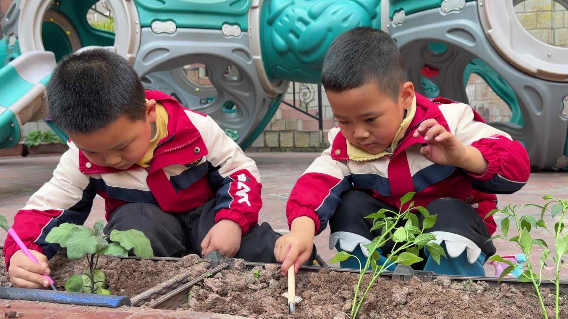 ⁣2026.3.11实验大班徐嘉毅、廖浚博——种植菜苗