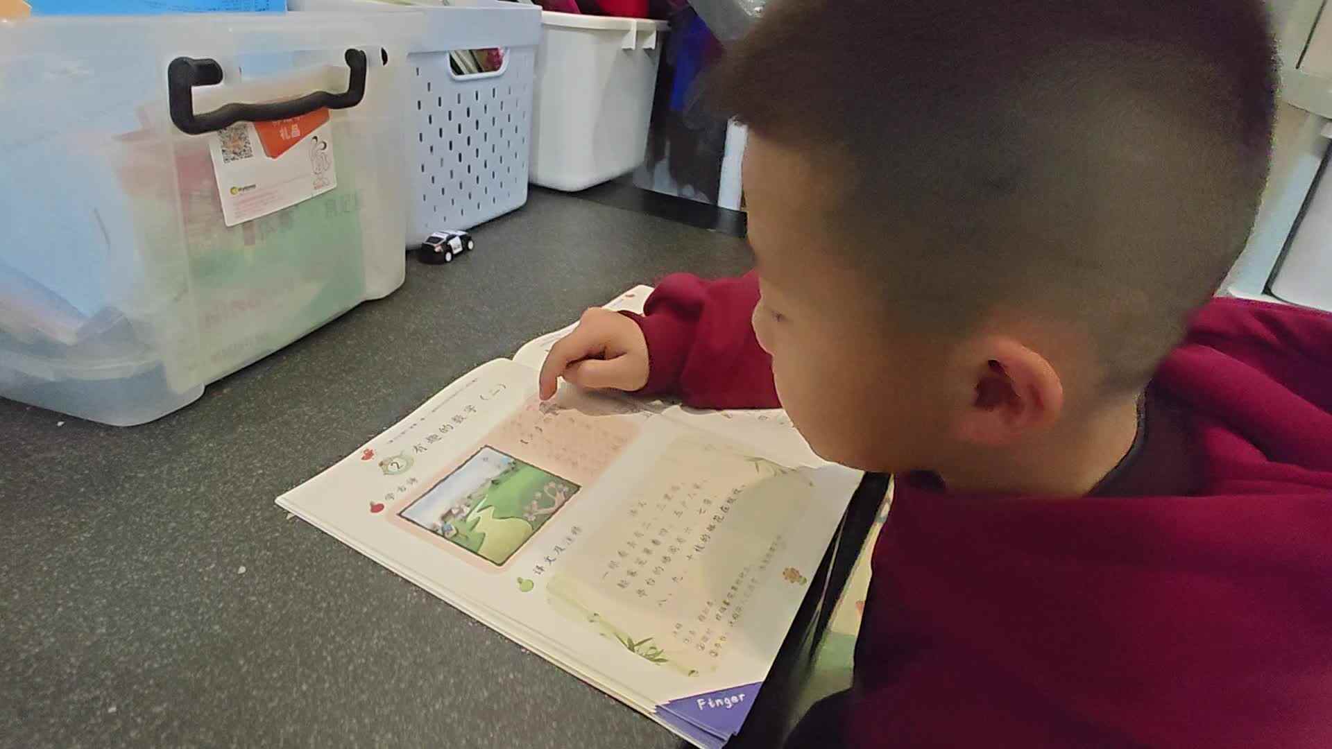 2026 3 17  刘佳鸿阅读识字练习