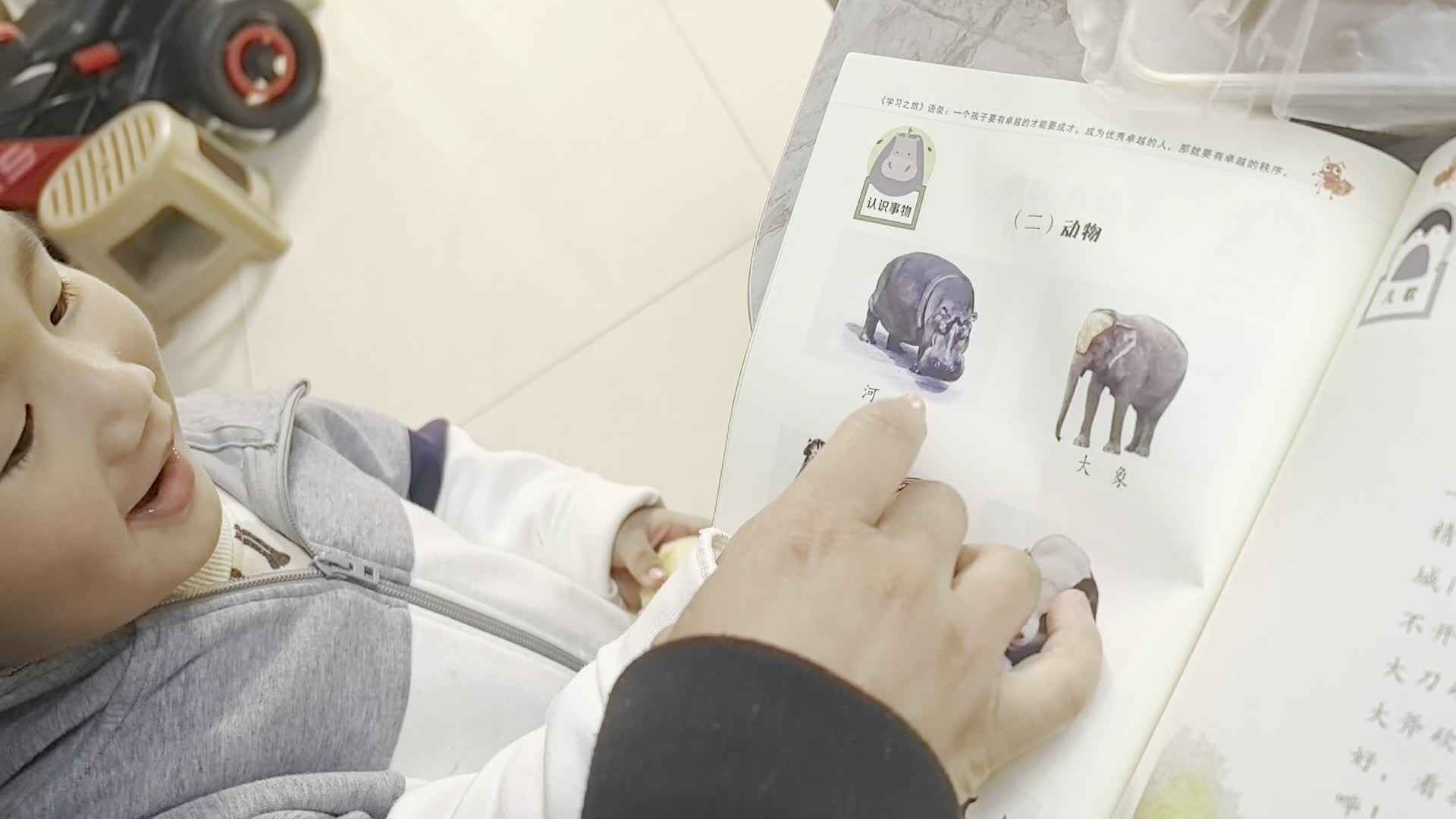 2026年03月30日张禹洋 语言书《动物》家庭闯关练习.mp4