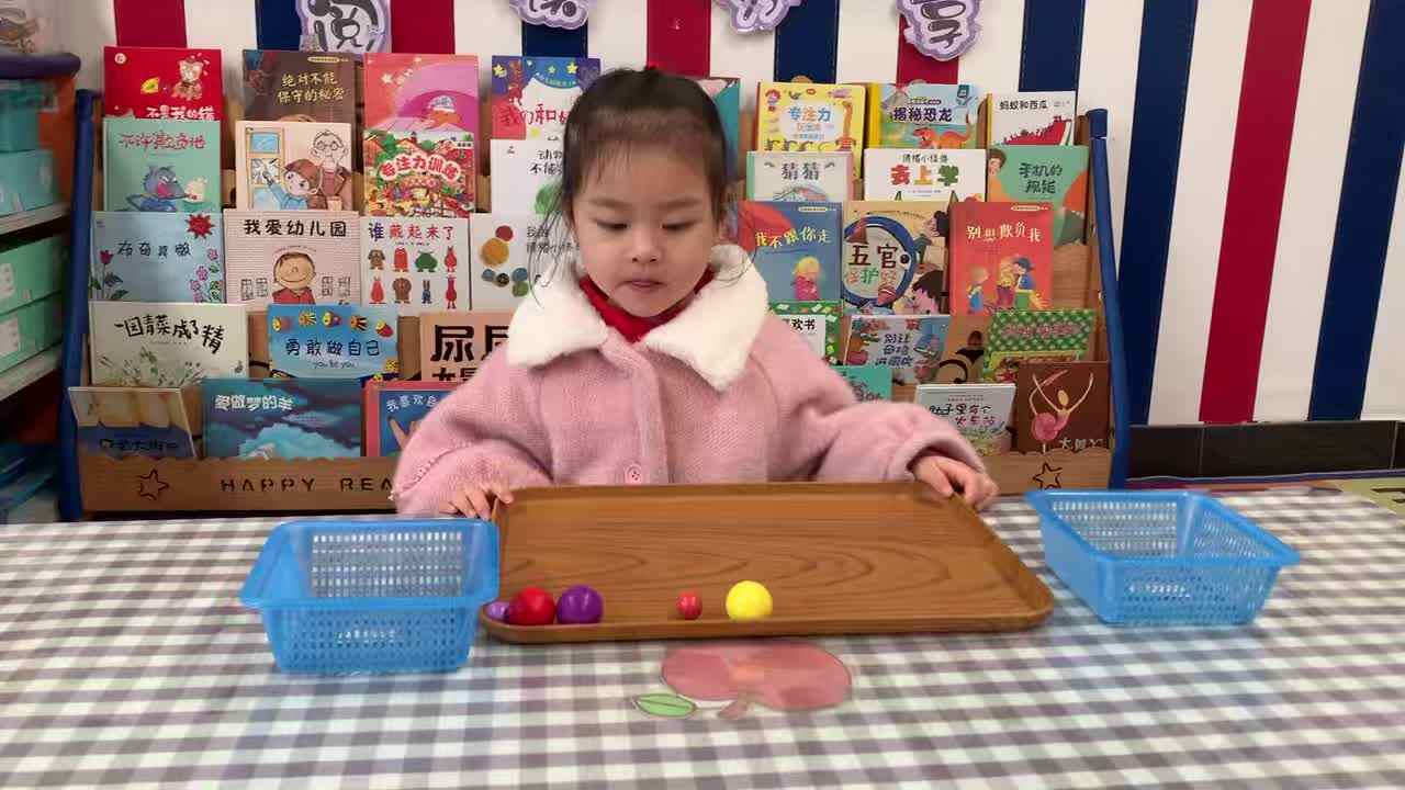 2026年3月18日周晨羽《大小分类》学校教学活动