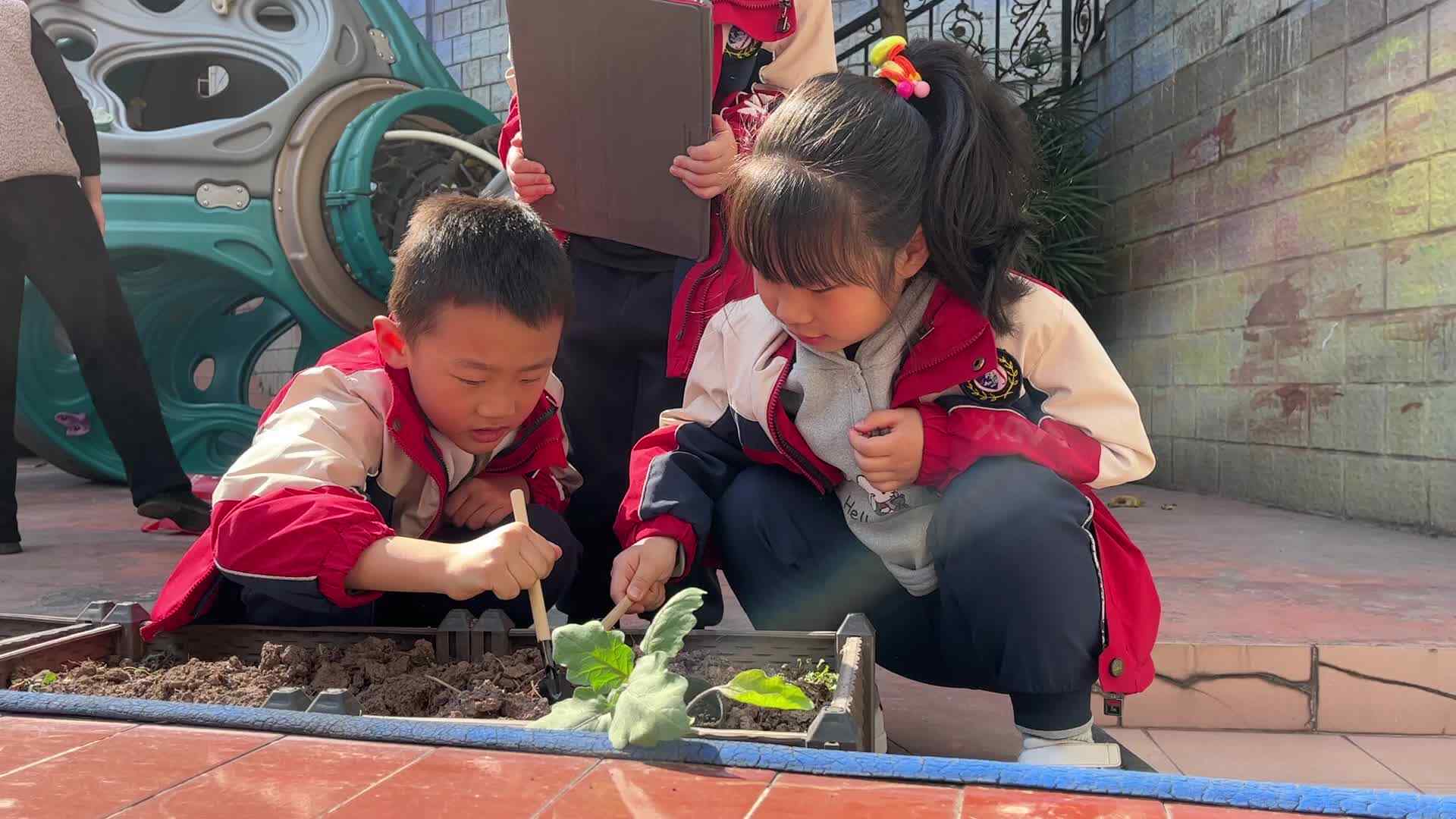 实验1班-冯云闲、孙梓涵植树节活动