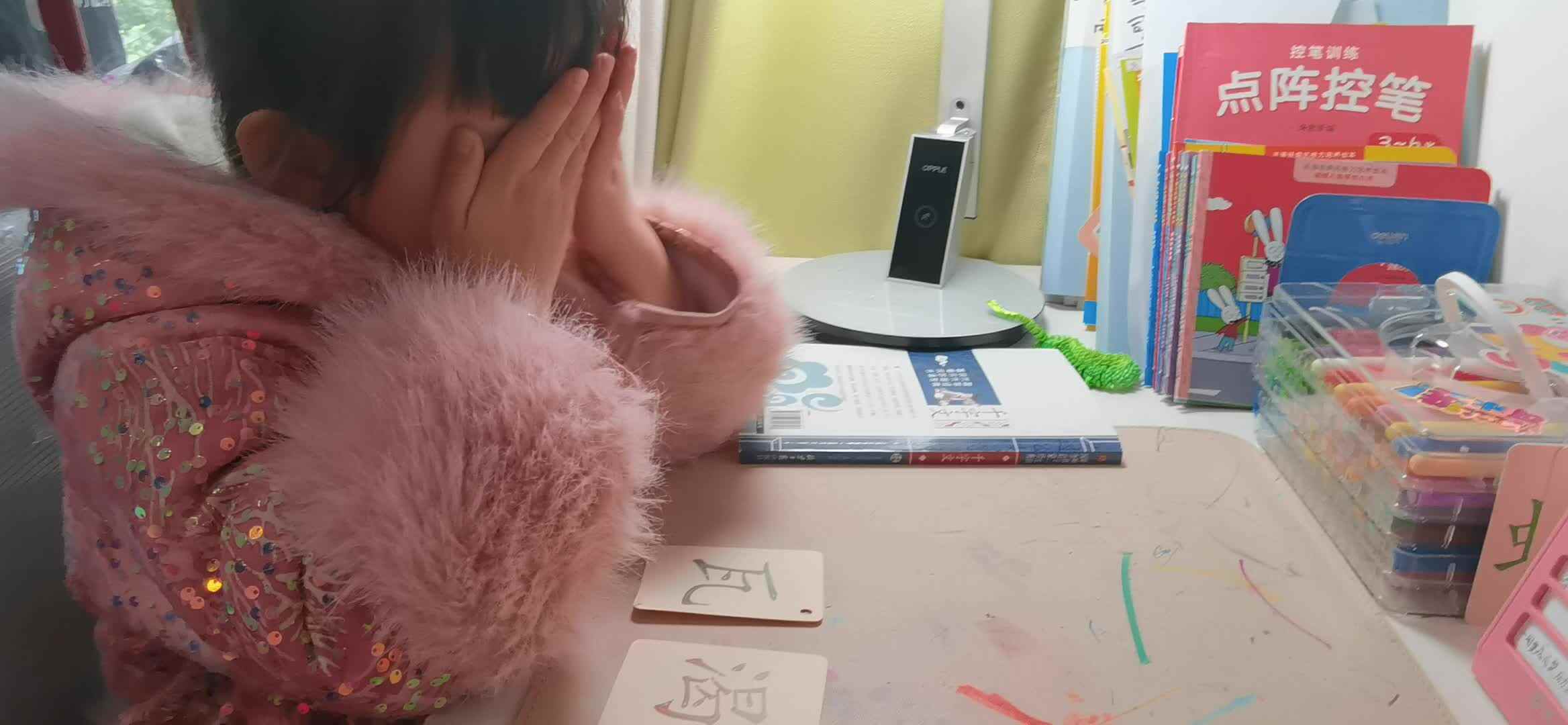 实验大班马司雨复习字卡