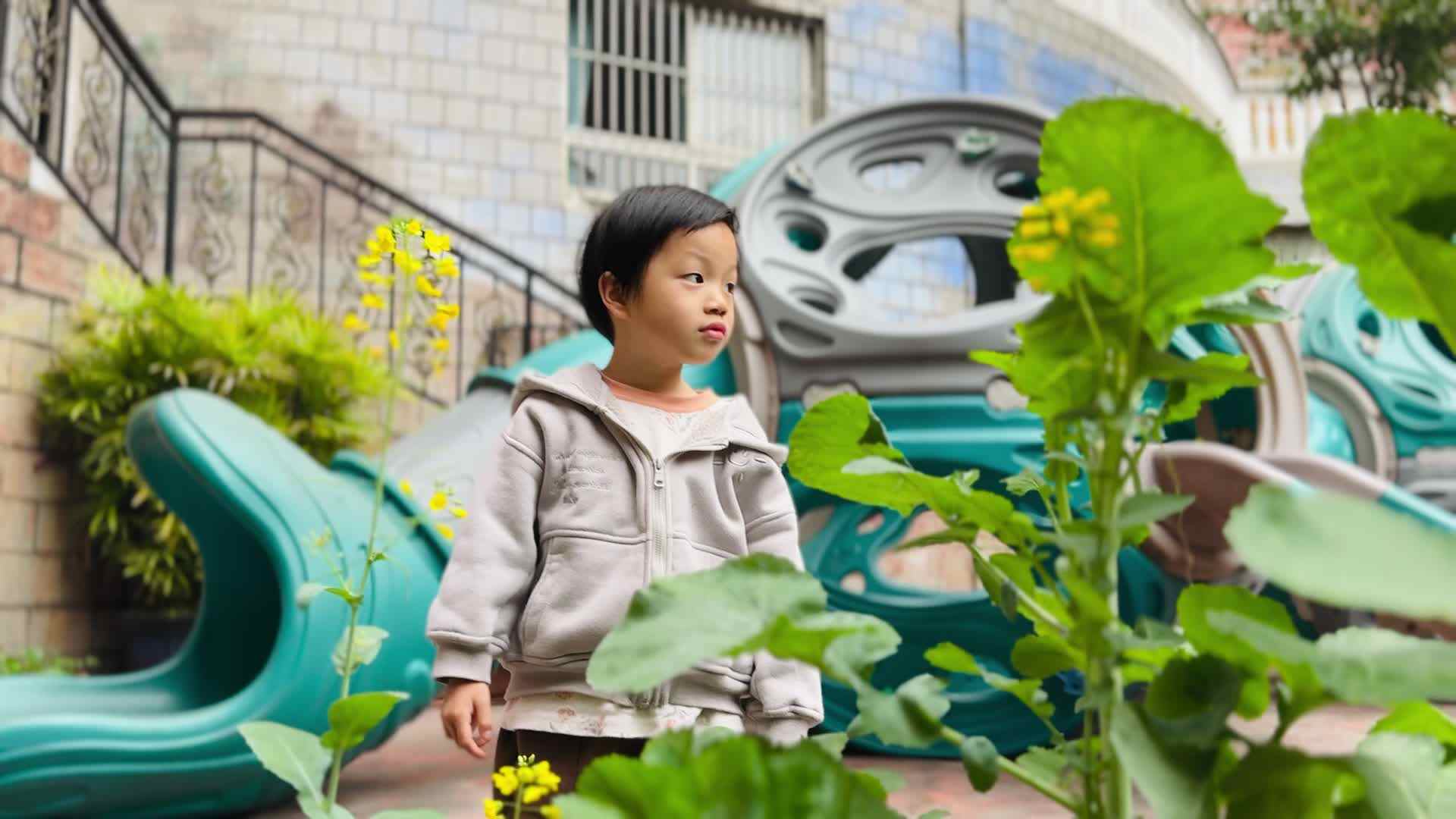 2026.3.5中A班李渝铭—植物区观赏