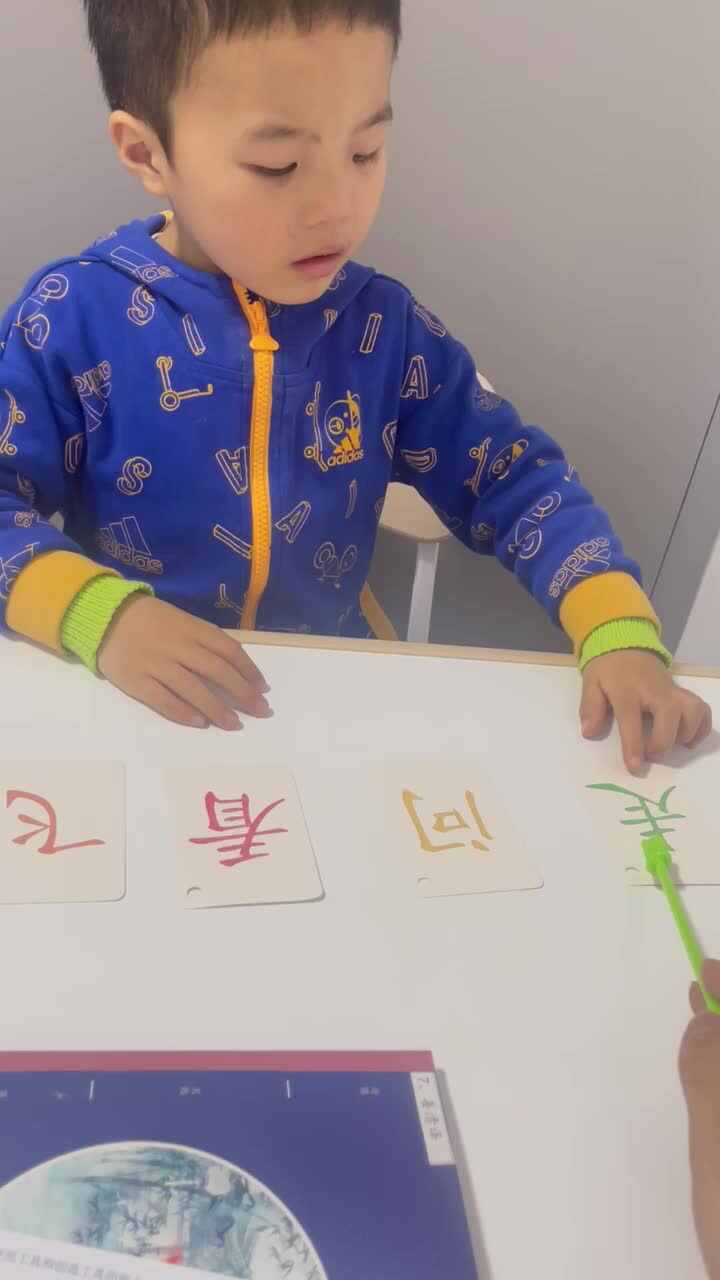 复习字卡（坐、走、飞、看、问）