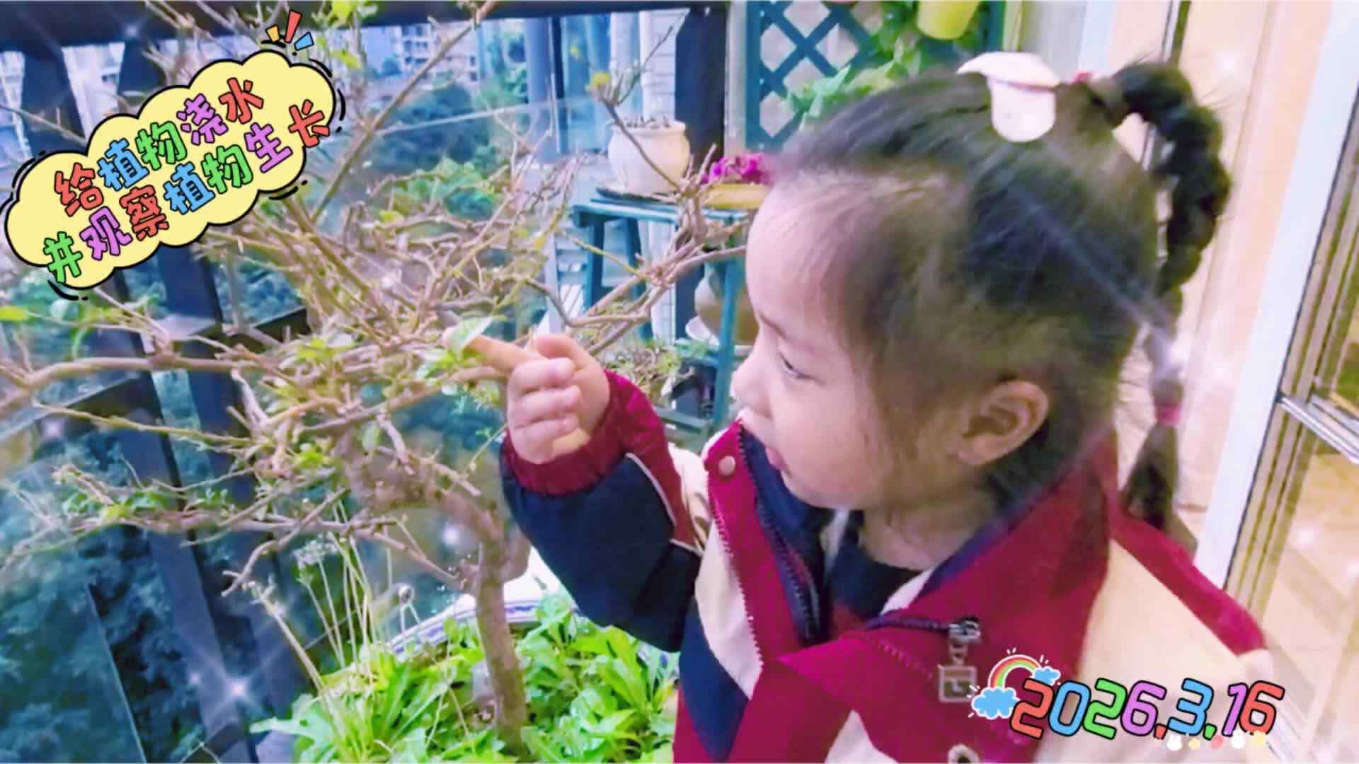 给植物浇水，并观察植物的生长》