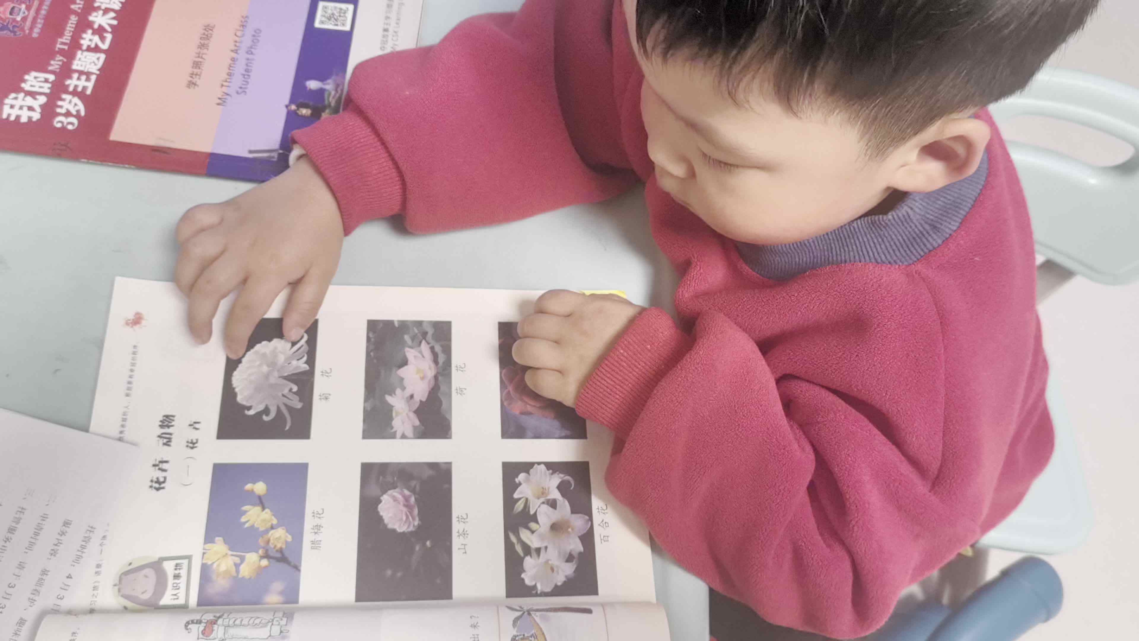 2026.3.27.李君祁.指读《花卉》家庭闯关作业