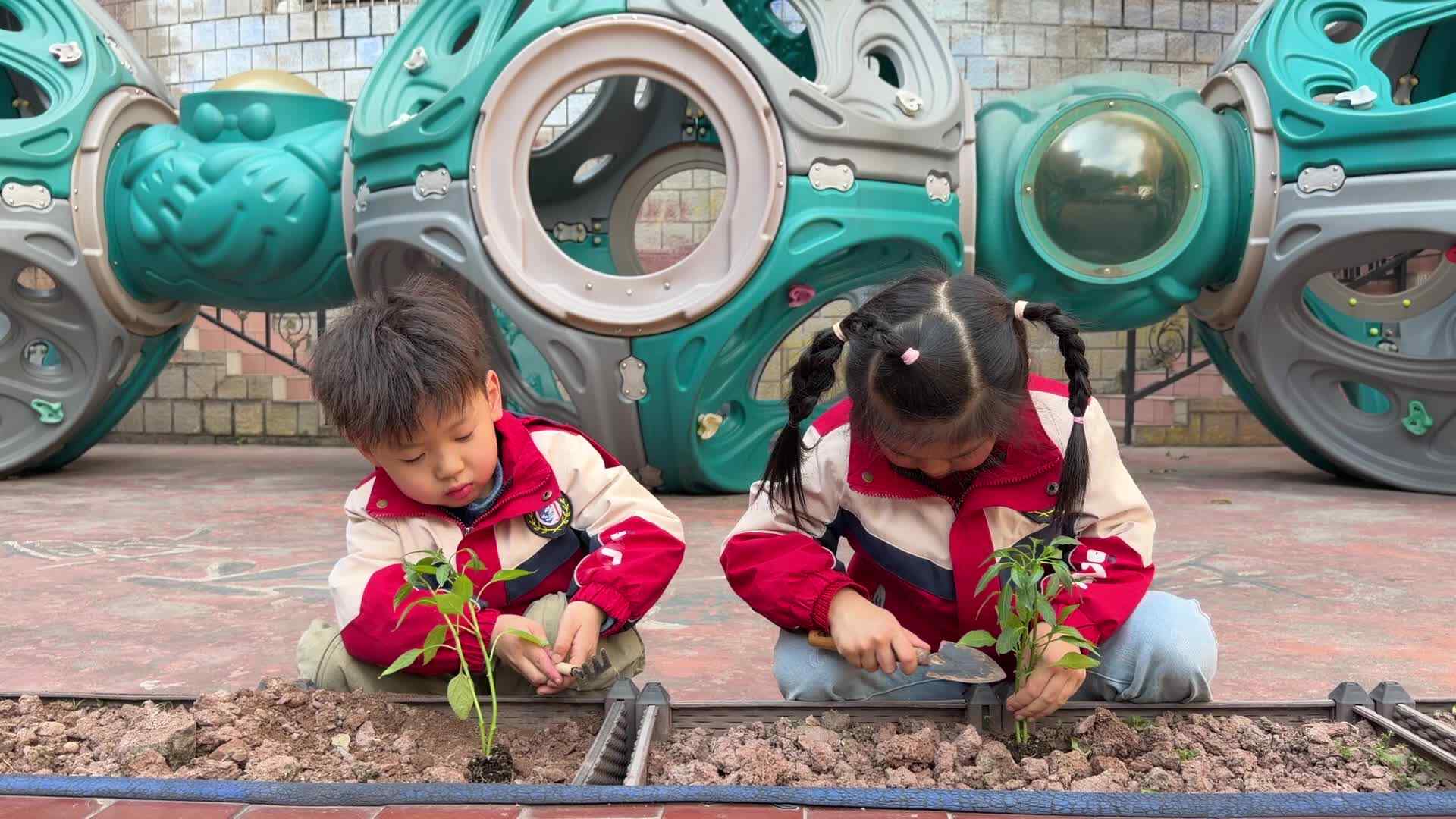 2026.3.11实验大班高芊源，周昊燃——种植菜苗