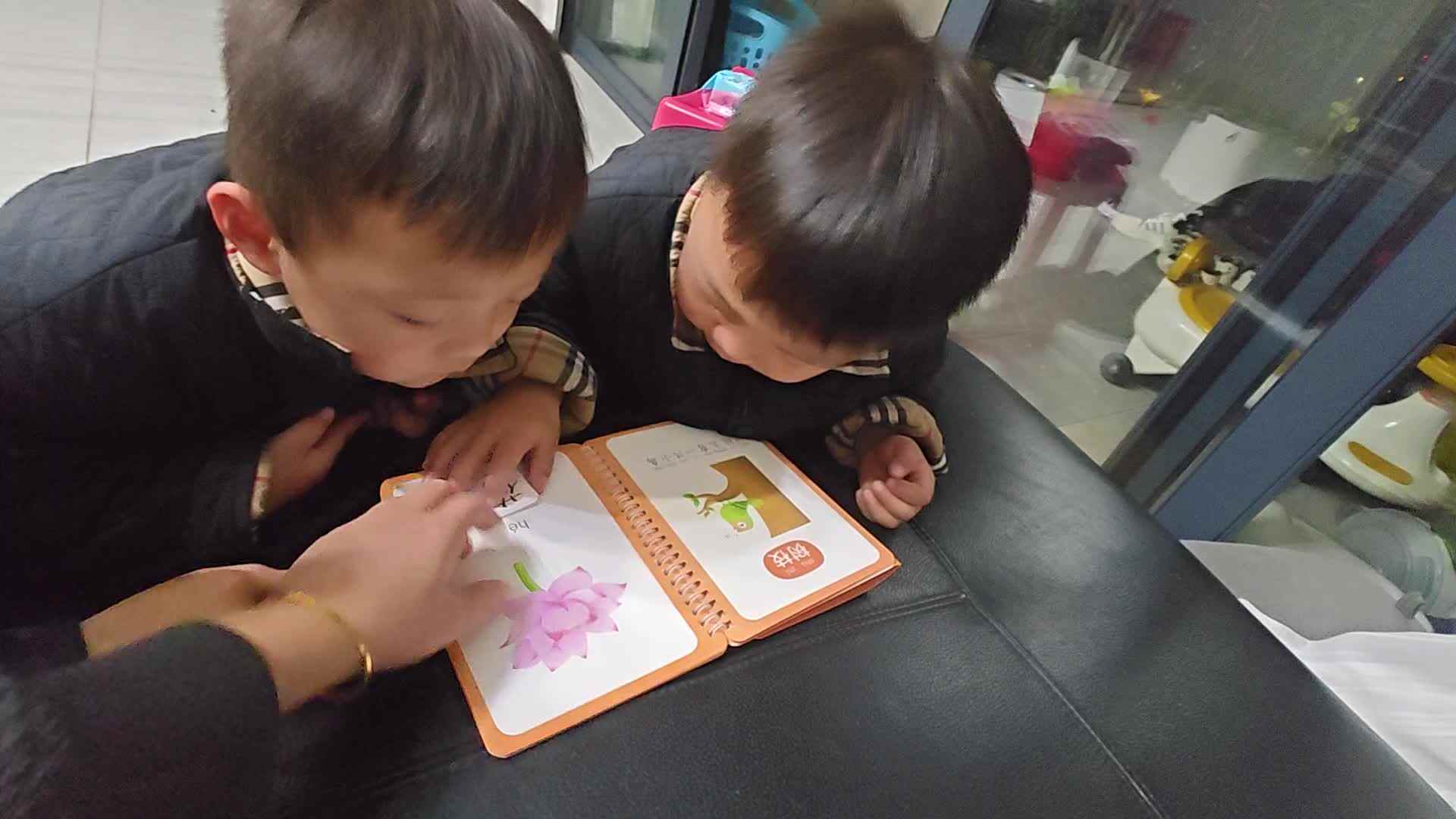 2026 3 29 刘佳铭和刘佳锐 识字《花草》家庭闯关练习